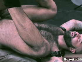 Gay bear has rough anal sex with hairy otter